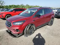 Salvage cars for sale at Des Moines, IA auction: 2018 Ford Escape SE