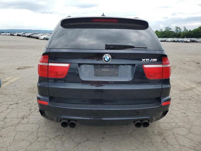 2010 BMW X5 M