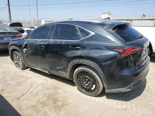 2021 Lexus NX 300H Base