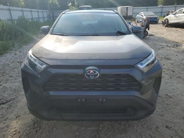 2024 Toyota Rav4 XLE