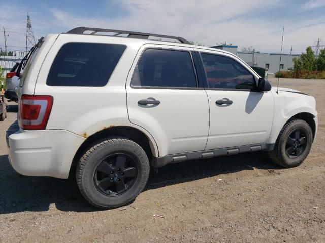 2011 Ford Escape XLT