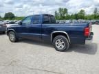 2005 Dodge Dakota SLT