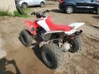 2024 Honda TRX250 X