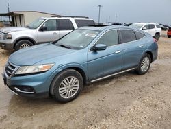 Salvage cars for sale at Temple, TX auction: 2014 Honda Crosstour EXL