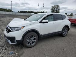 Salvage cars for sale at Portland, OR auction: 2022 Honda CR-V EX