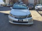 2010 Lexus HS 250H