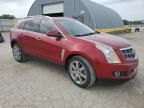 2011 Cadillac SRX Premium Collection