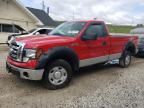 2009 Ford F150