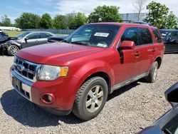 Vehiculos salvage en venta de Copart Central Square, NY: 2010 Ford Escape Limited