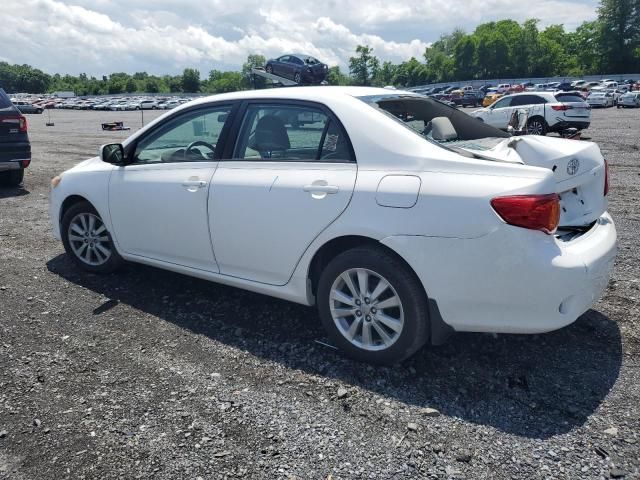 2010 Toyota Corolla Base