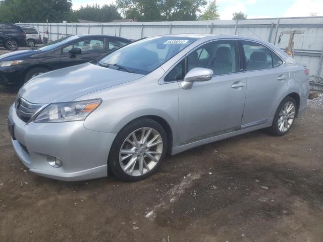 2010 Lexus HS 250H