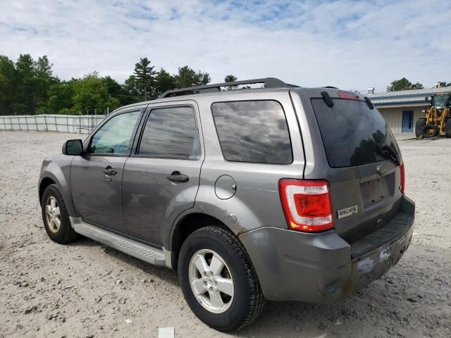 2010 Ford Escape XLT