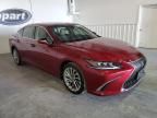 2019 Lexus ES 300H