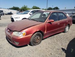 Toyota salvage cars for sale: 2002 Toyota Corolla CE