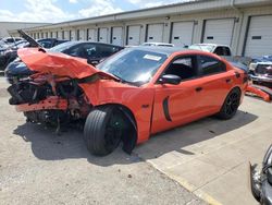 Salvage cars for sale at Louisville, KY auction: 2017 Dodge Charger R/T 392