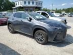 2022 Lexus NX 350H