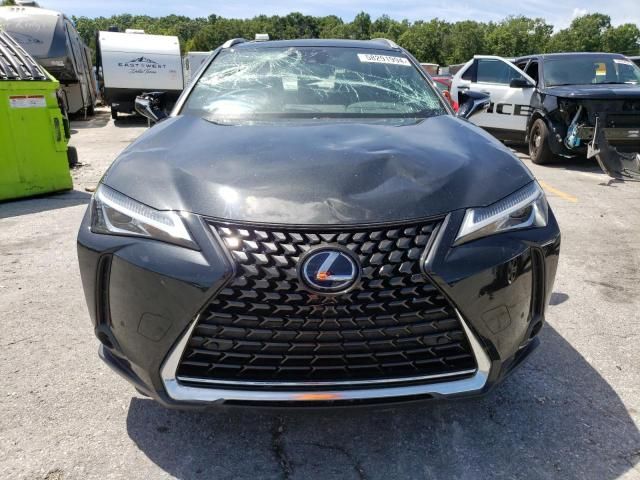 2019 Lexus UX 250H