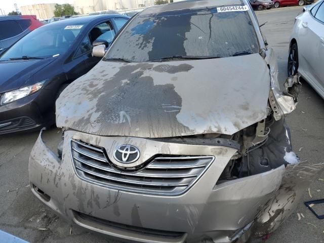 2008 Toyota Camry Hybrid