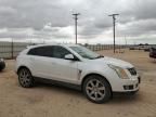 2010 Cadillac SRX Performance Collection