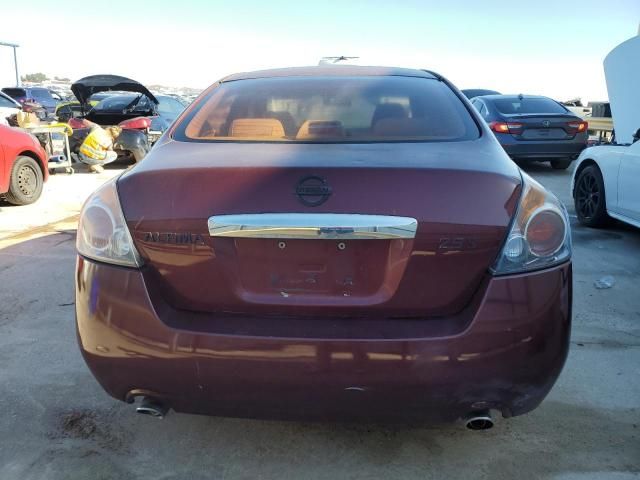 2010 Nissan Altima Base