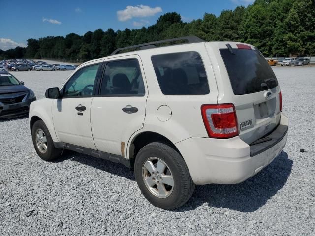 2011 Ford Escape XLT