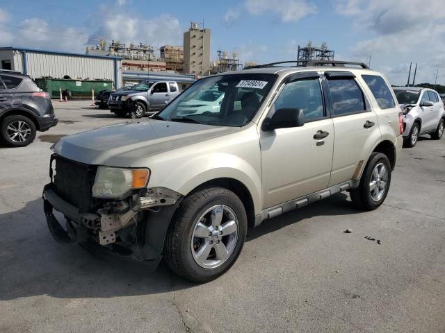 2010 Ford Escape XLT