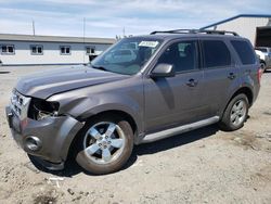 Ford Escape xlt salvage cars for sale: 2011 Ford Escape XLT