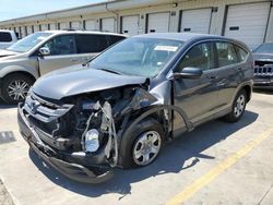 2014 Honda CR-V LX en venta en Louisville, KY