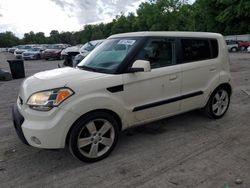 KIA Soul Vehiculos salvage en venta: 2010 KIA Soul +