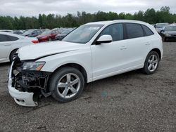 Salvage cars for sale at Cookstown, ON auction: 2010 Audi Q5 Premium Plus