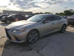 Salvage cars for sale at Wilmer, TX auction: 2019 Lexus ES 350