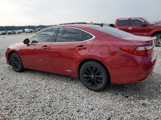 2013 Lexus ES 300H