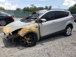 Salvage cars for sale at Riverview, FL auction: 2013 Ford Escape SEL