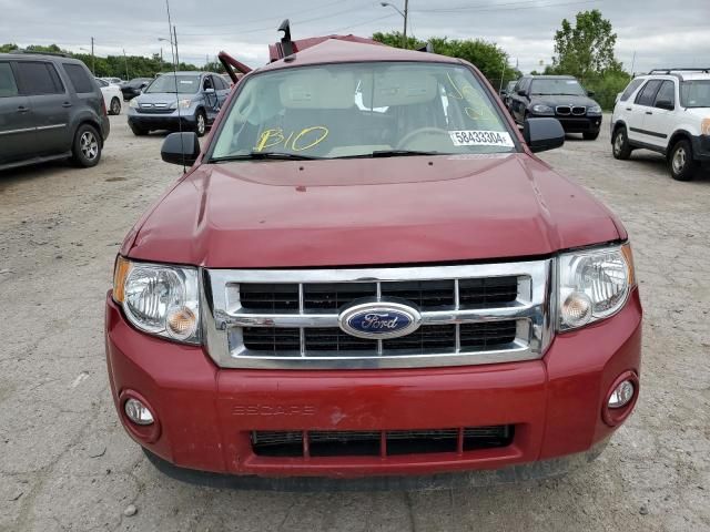 2011 Ford Escape XLT