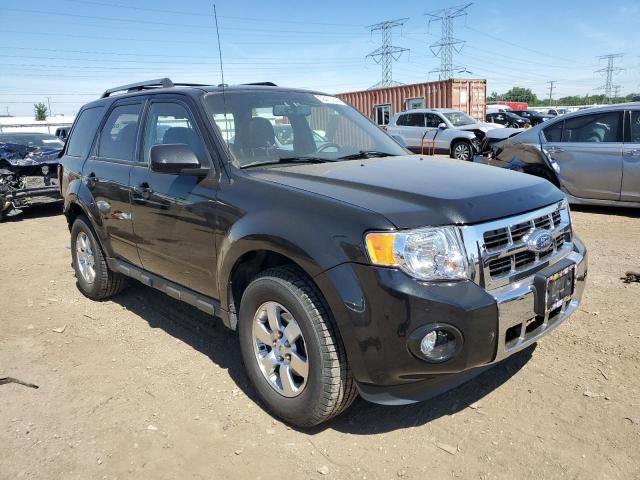 2011 Ford Escape Limited