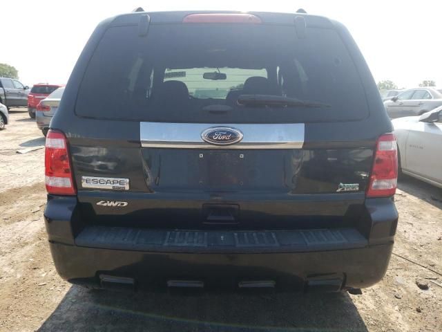 2011 Ford Escape Limited