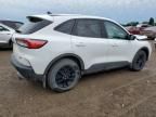 2020 Ford Escape SE Sport