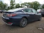 2022 Lexus ES 250 Base