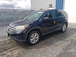 Salvage cars for sale at Elmsdale, NS auction: 2014 Honda CR-V EXL