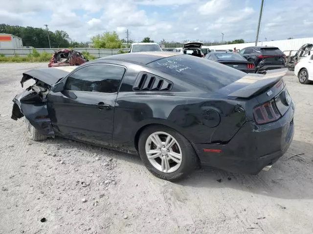 2013 Ford Mustang