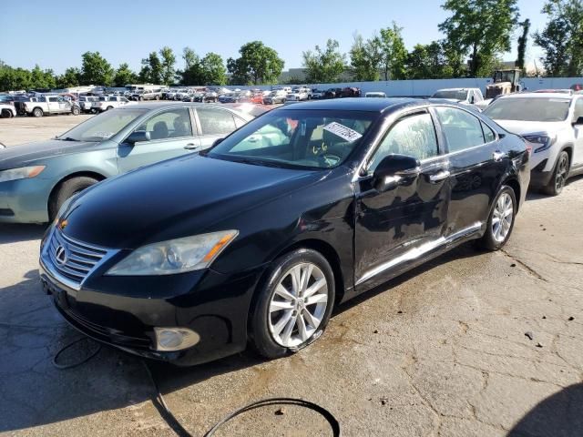 2010 Lexus ES 350