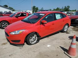 Salvage cars for sale at auction: 2015 Ford Focus SE