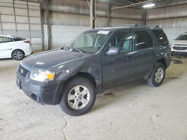 2005 Ford Escape XLT