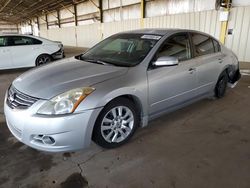 Salvage cars for sale at Phoenix, AZ auction: 2010 Nissan Altima Base