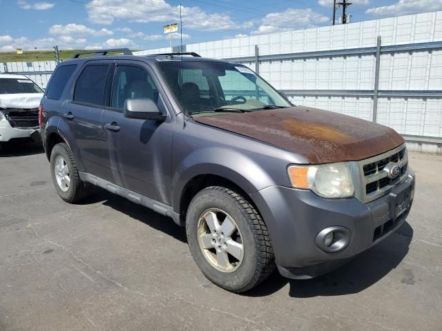 2010 Ford Escape XLT