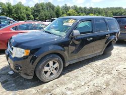 Ford Escape salvage cars for sale: 2012 Ford Escape XLS