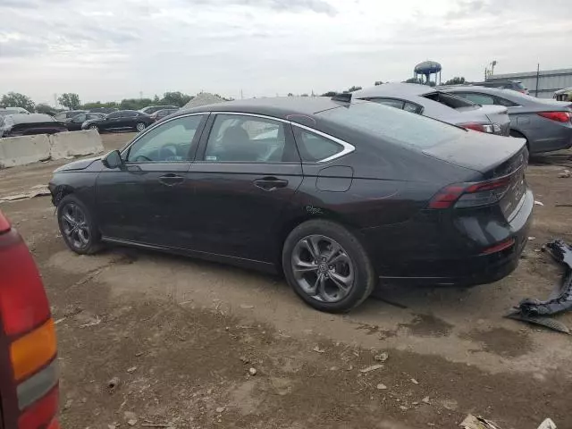 2024 Honda Accord Hybrid EXL