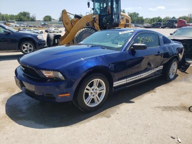 2010 Ford Mustang