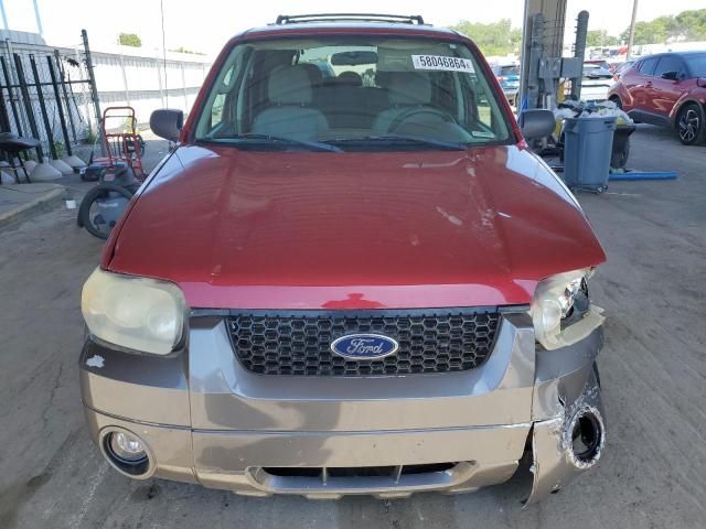 2006 Ford Escape XLT