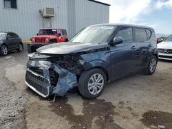 Salvage cars for sale at Tucson, AZ auction: 2020 KIA Soul LX